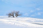 Ad un passo dal cielo Ad un passo dal cielo