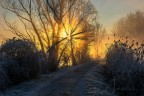 Frost Frost