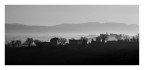 al mattino in val d'orcia al mattino in val d'orcia
