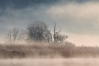 Avvolto dalla nebbia Avvolto dalla nebbia