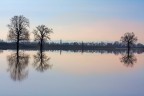 Dopo la piena un campo allagato diventa specchio Dopo la piena un campo allagato diventa specchio