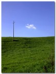 Palo immerso nel verde! Palo immerso nel verde!