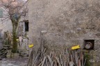Pentema_ Pentema_