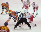 Alps Hockey League - Asiago-Red Bulls Salzburg