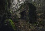 Rovine