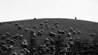 Il guardiano... Il guardiano...