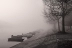 Brivio nella nebbia Brivio nella nebbia
