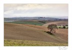 Colline Toscane