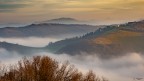 Fog in golden hour Fog in golden hour