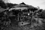 Bamboo Hut Bamboo Hut