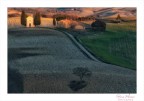 Vitaleta - Pienza Vitaleta - Pienza