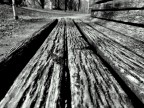 WOOD WOOD