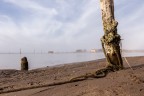 Legato al mare