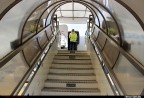 plane ladder plane ladder