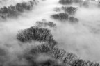 Winter Fog Winter Fog