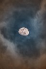 Moonlight Moonlight