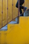 Giallo Giallo