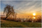 Prima dell'inverno nucleare. Prima dell'inverno nucleare.