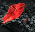 Coronavirus fake news...