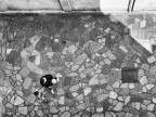 Covid19,si ritorna nei cortili a giocare Covid19,si ritorna nei cortili a giocare