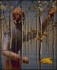sogni... sogni...