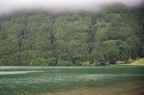 Un po di verde Un po di verde