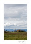 La Vecchia casa - Padule di Bientina (PI) La Vecchia casa - Padule di Bientina (PI)