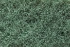 texture_macro_home_Apr2020 texture_macro_home_Apr2020