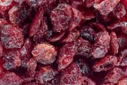 texture_macro_home_Apr2020 texture_macro_home_Apr2020