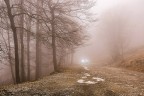 luci nella nebbia luci nella nebbia