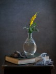 La ginestra, o fiore del deserto La ginestra, o fiore del deserto