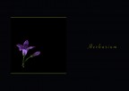 Herbarium Herbarium