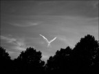 ---V--- ---V---