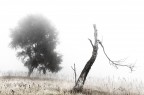 Critica al buio - Foto 062 di snk666