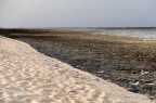 Bassa marea