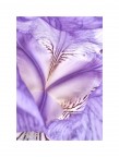 Iris Iris
