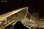 Ponte Zubizuri-Bilbao Ponte Zubizuri-Bilbao