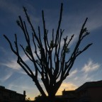 Oggi, all�imbrunire