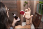 Una birra al volo Una birra al volo