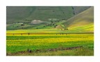 Castelluccio...amarcord..4 Castelluccio...amarcord..4