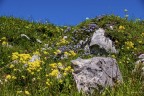 Giardino naturale