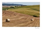 Rotoballe sulle colline