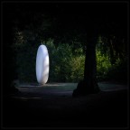 sue�o en la foresta