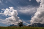 il solitario il solitario