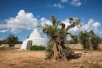 La Speranza di Ricrescita La Speranza di Ricrescita