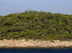 Pineta Pineta