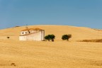 La chiesetta bianca La chiesetta bianca