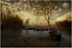 Pittura fiamminga Pittura fiamminga