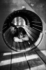 Noia è gioia (sospesa) Noia è gioia (sospesa)