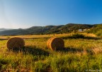 Rodoballe molisane